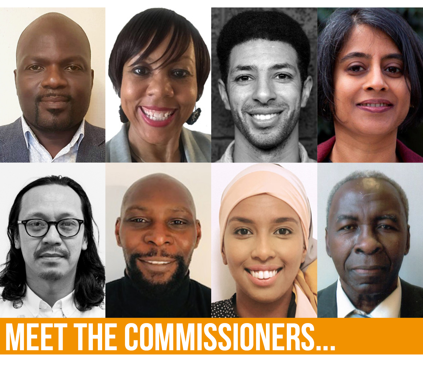 meet the commissioners