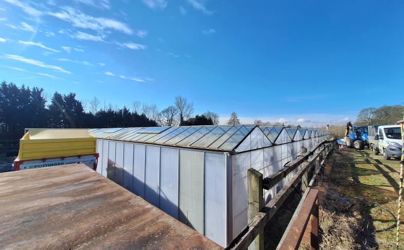 A row of glass greenhouses under a blue, slightly cloudy sky