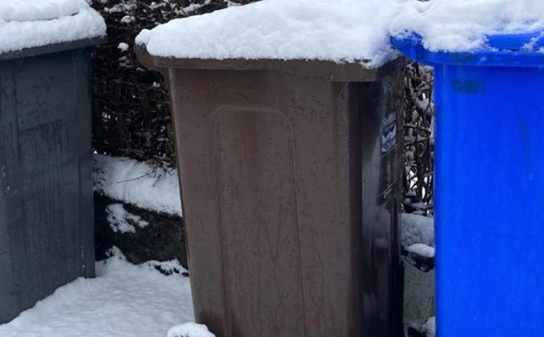 Bin covered in snow