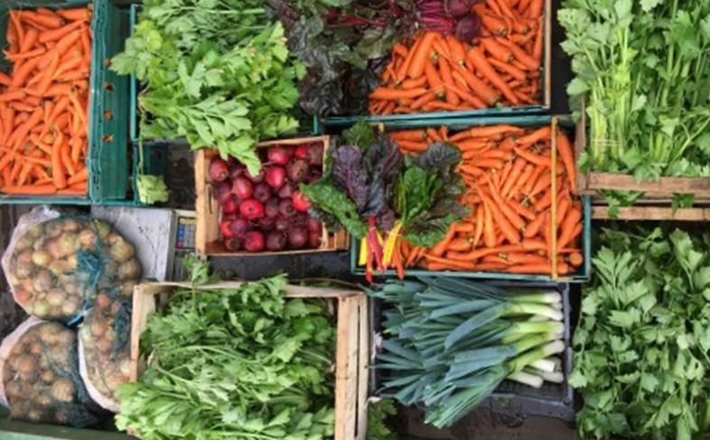 Boxes of vegetables, carrots, onions and herbs