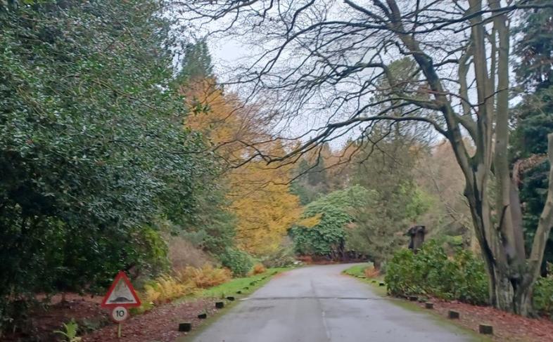 Road in Whirlow Park surrounded by trees