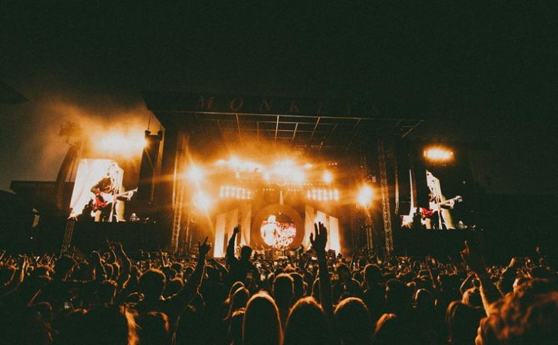 Arctic Monkeys live on stage - photo credit Lewis Evans