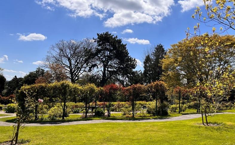 A beautiful garden scene of green grass in foreground, various sized trees in the middle ground underneath a blue sky with white clouds