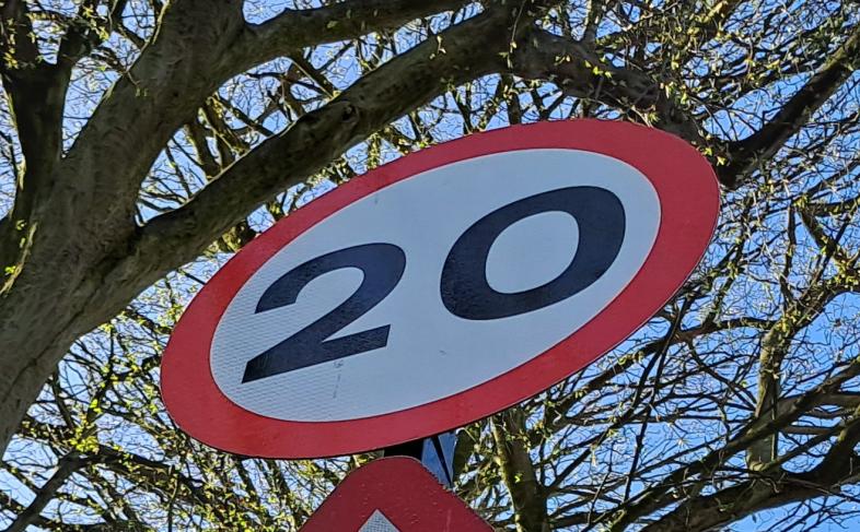 A twenty mile per hour speed limit sign with a white background, black number 20 written in the middle with a red circle round the sign, behind the sign is a mixture of tree branches