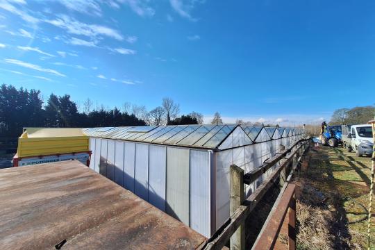 A row of glass greenhouses under a blue, slightly cloudy sky