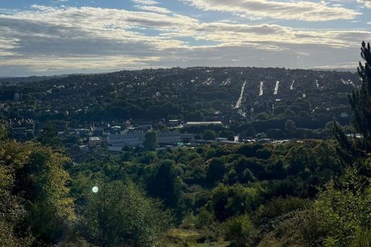 Image of a view over the city. Houses and buildings are in the background and trees and bushes in the foreground. The sky is blue with lots of clouds