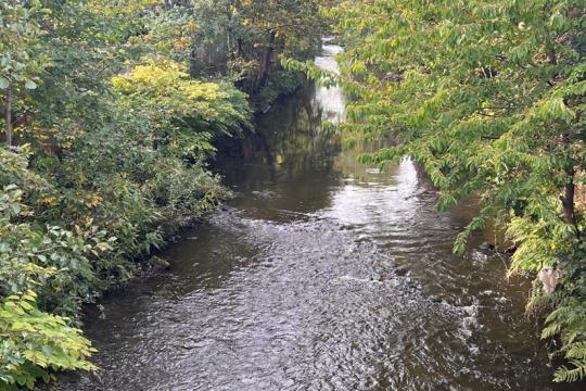 Image of the River Don with trees along its banks