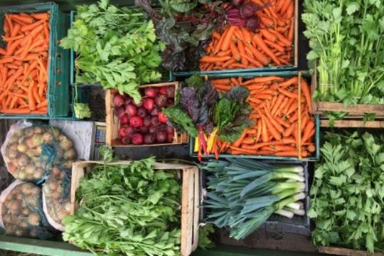 Boxes of vegetables, carrots, onions and herbs