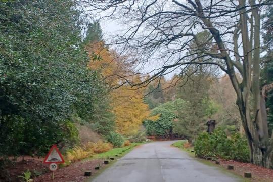 Road in Whirlow Park surrounded by trees