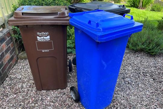 Brown, bkue and black rubbish bins arranged neatly upon gravel in a garden with plants in the background