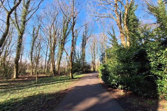 Graves park with blue sky behind 