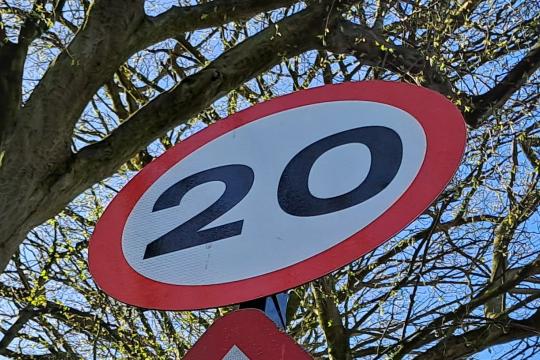 A twenty mile per hour speed limit sign with a white background, black number 20 written in the middle with a red circle round the sign, behind the sign is a mixture of tree branches