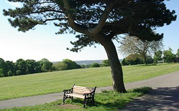 Bench in Firth Park